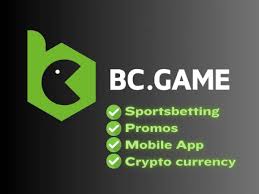 Understanding BC Game.vc KYC Why It's Important and How to Complete It Understanding BC Game.vc KYC Why It's Important and How to Complete It