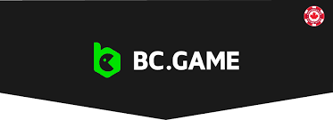 Exploring the Thrills of BC Game Casino